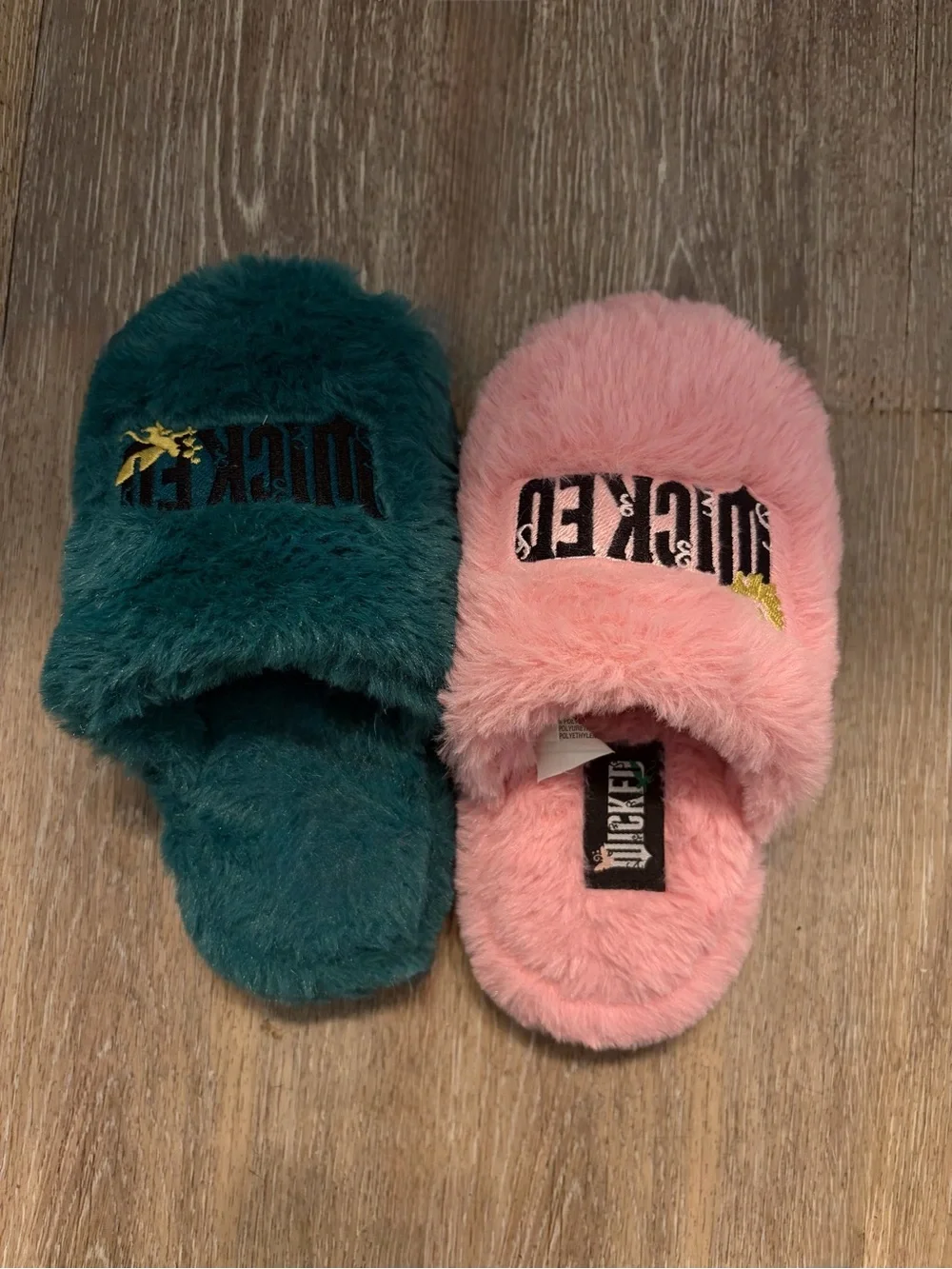 Grounded Wicked Movie Slippers Youth Sz Small 11/12